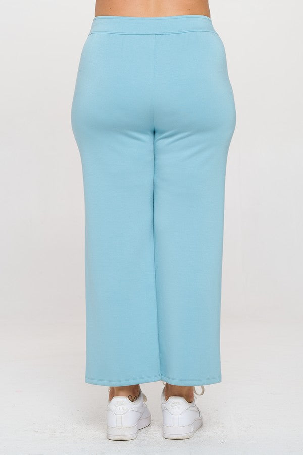 Plus Size High Rise Straight Leg Pants