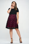 Plus Size Lace Overlay A-line Dress